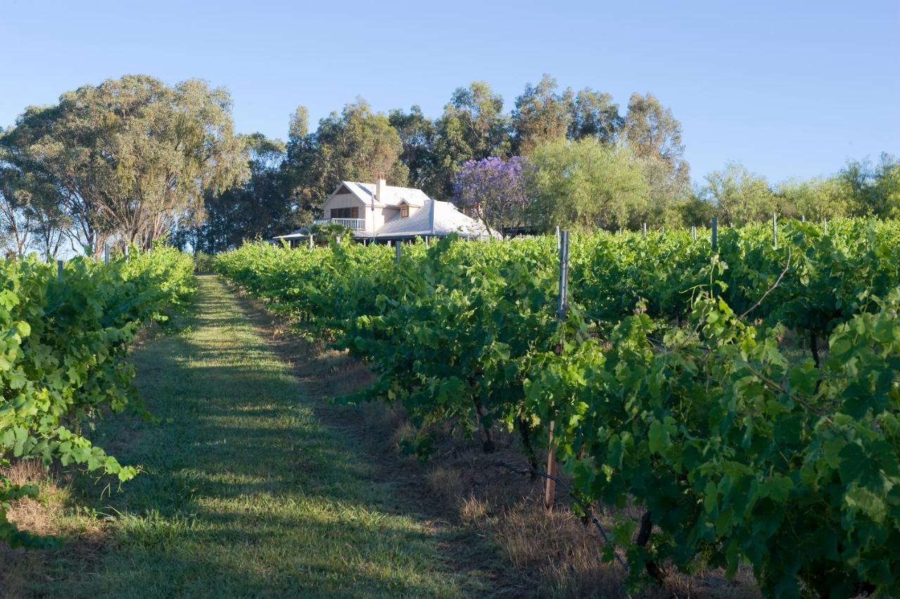 Spicers Vineyards Estate Hotel Pokolbin Exterior photo